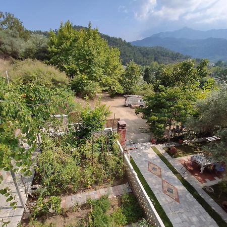 Elpida Apartment Limenas  Exterior photo